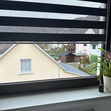 Blick Auf Den Rhein * Kestert