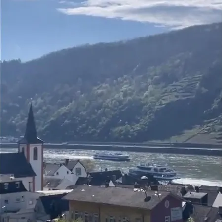 Blick Auf Den Rhein *