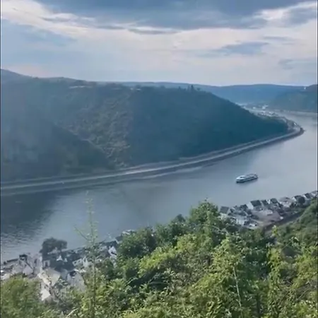 Blick Auf Den Rhein