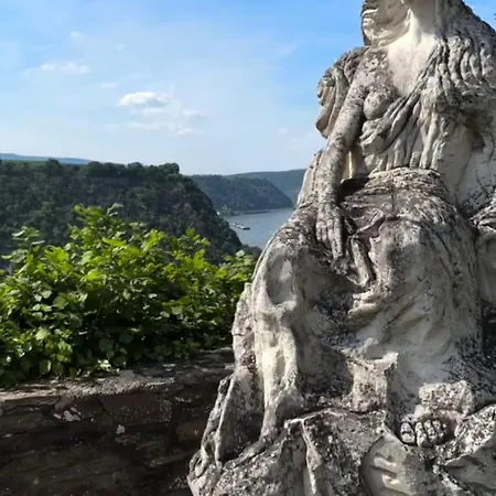 Blick Auf Den Rhein *