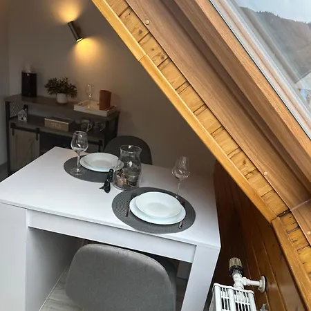 Blick Auf Den Rhein Apartman