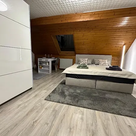 Blick Auf Den Rhein 케스터트