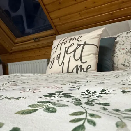 Blick Auf Den Rhein 케스터트