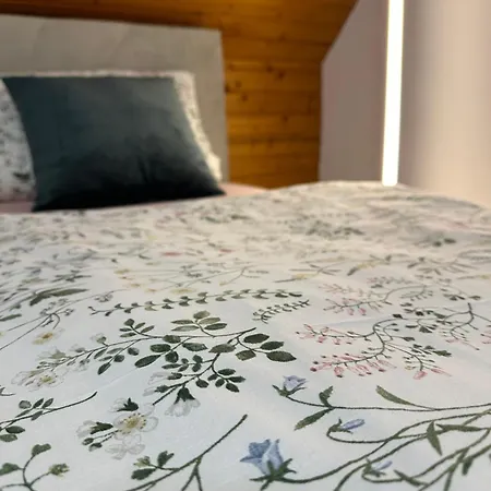 Appartement Blick Auf Den Rhein *