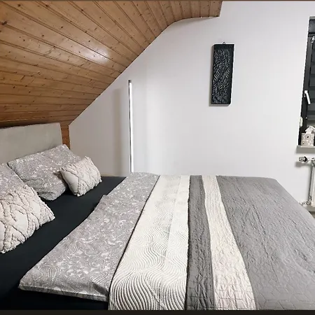 Blick Auf Den Rhein Apartamento