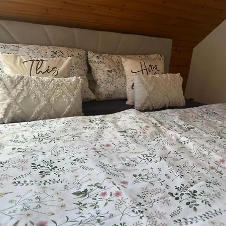 Blick Auf Den Rhein *