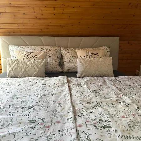 Blick Auf Den Rhein Kestert