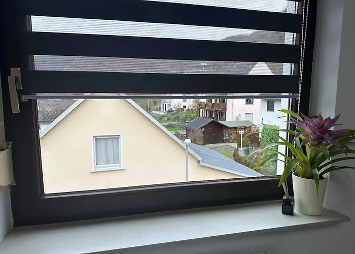 Blick Auf Den Rhein * Kestert