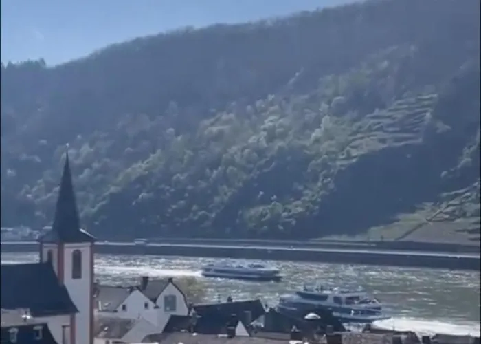 Blick Auf Den Rhein *