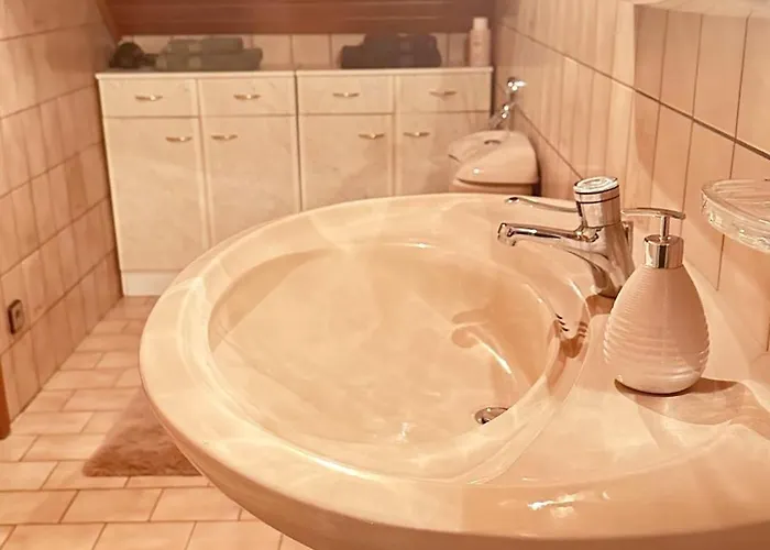 Blick Auf Den Rhein * Kestert