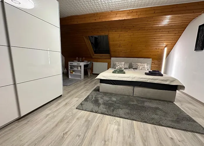 Blick Auf Den Rhein Kestert