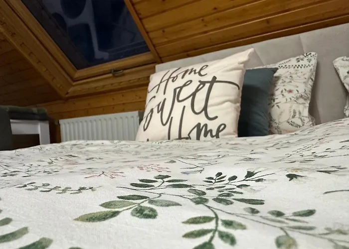 Blick Auf Den Rhein Kestert