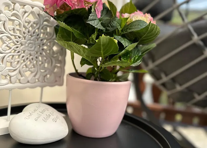 Blick Auf Den Rhein Apartamento *