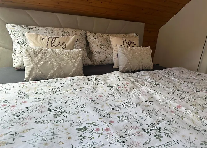 Blick Auf Den Rhein *