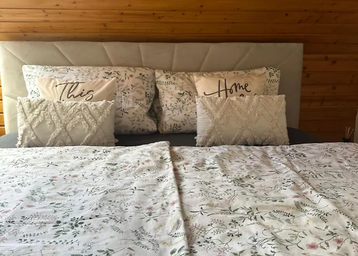 Blick Auf Den Rhein Kestert